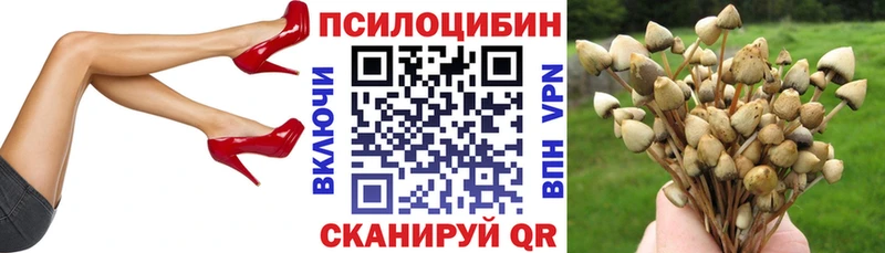 Галлюциногенные грибы Magic Shrooms Купить где Калач